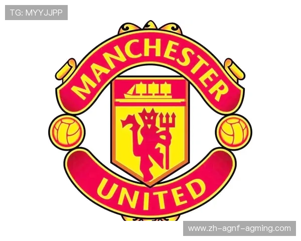 英超球队标志性狮子元素解析